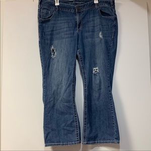 Lane Bryant distressed ripped jeans size 22